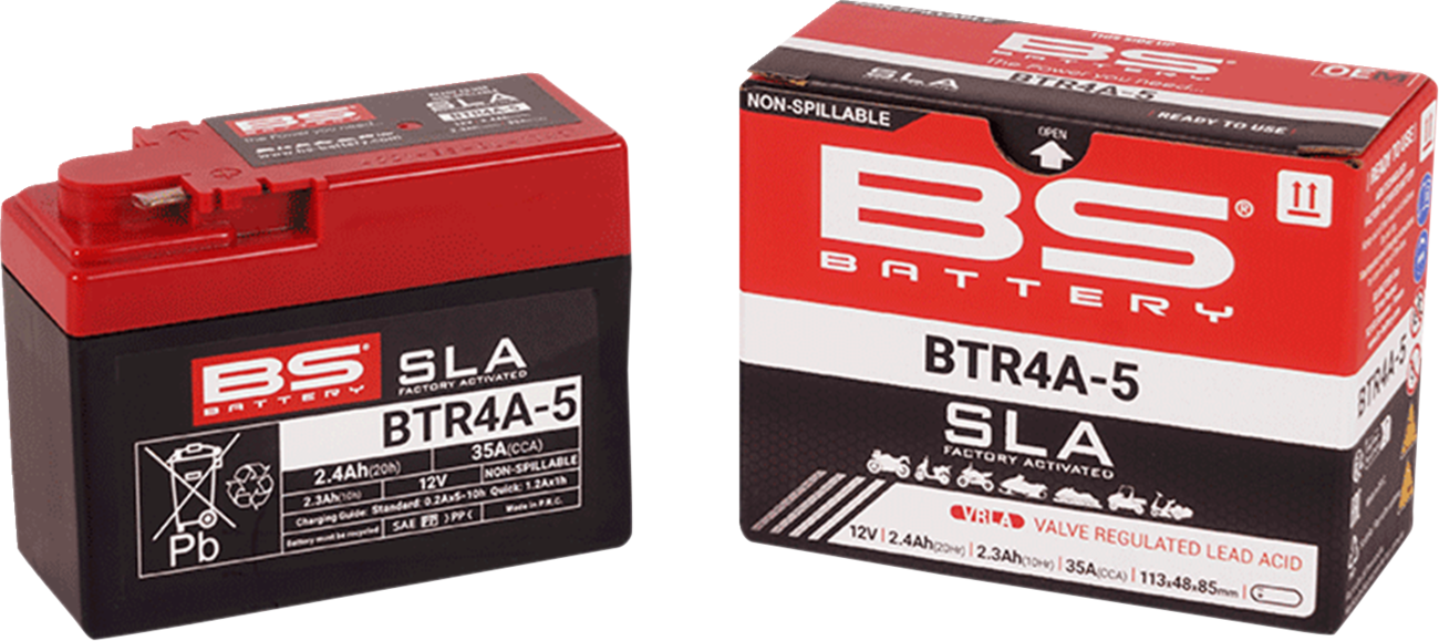 BS BATTERY SLA Factory- Activated AGM Maintenance-Free Battery