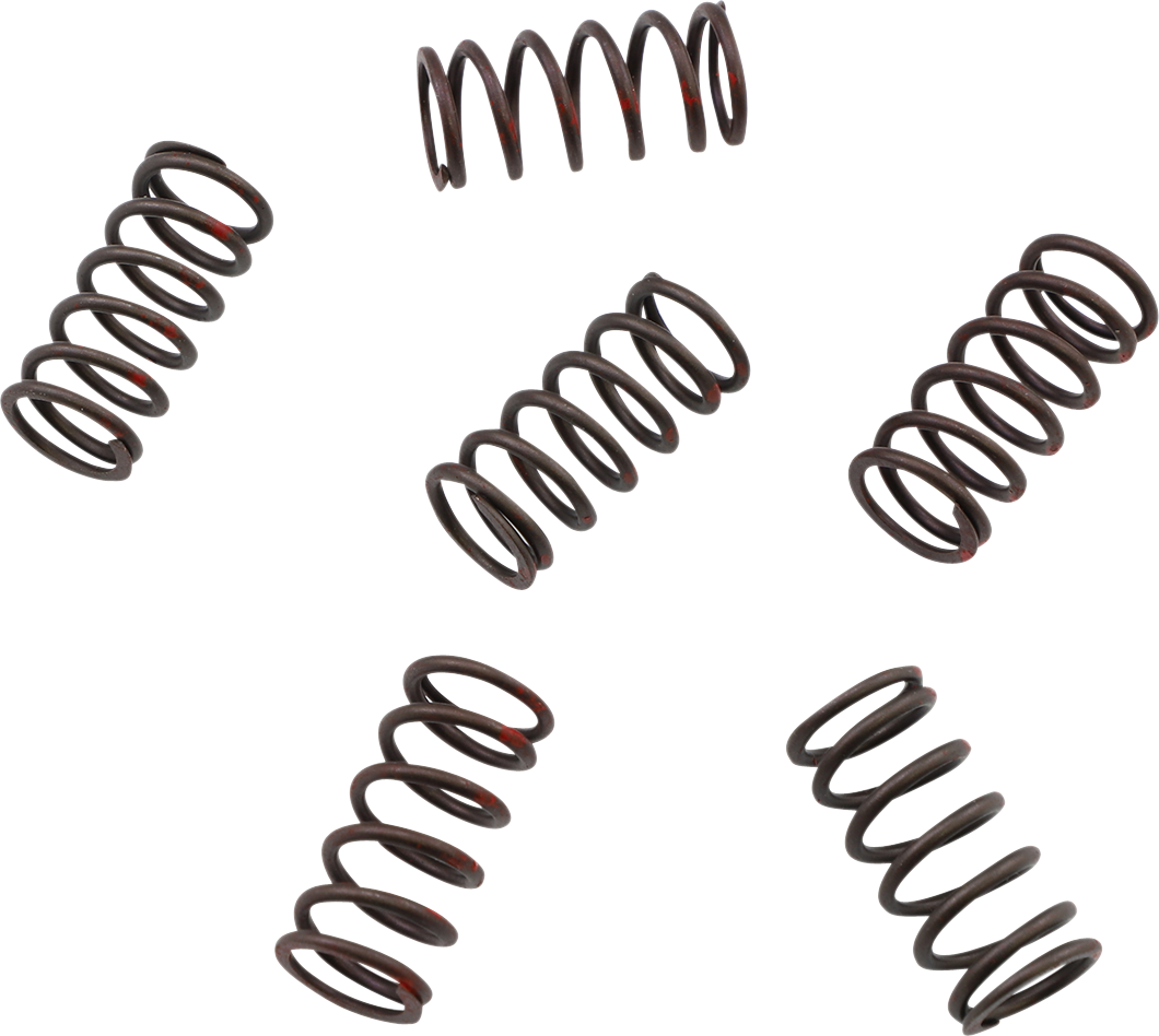 KG POWERSPORTS High Performance Clutch Spring Set