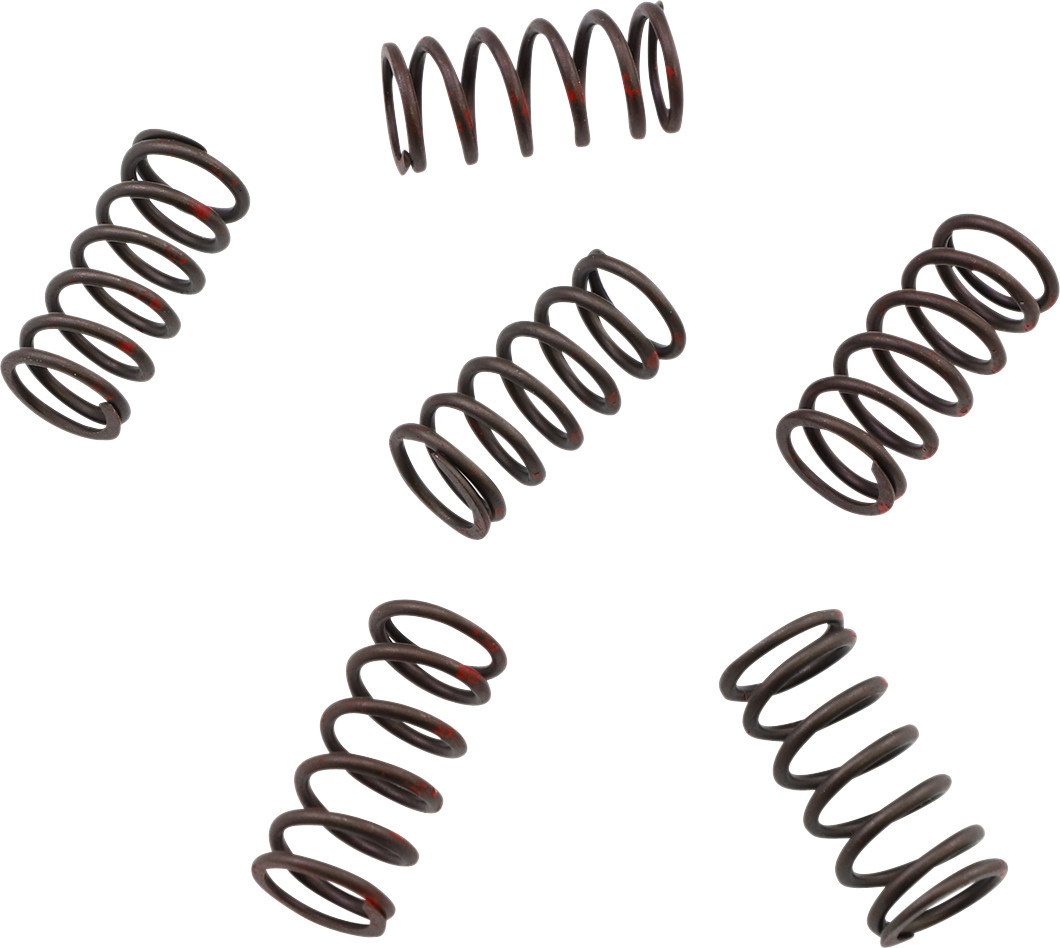 KG POWERSPORTS High Performance Clutch Spring Set