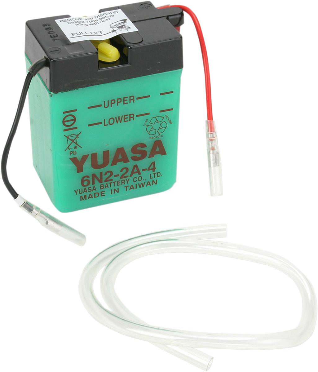 Conventional Battery — 6 V