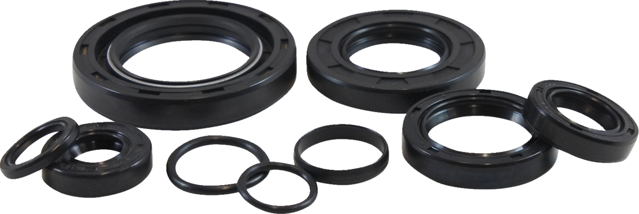 VINTCO Oil Seal Kit