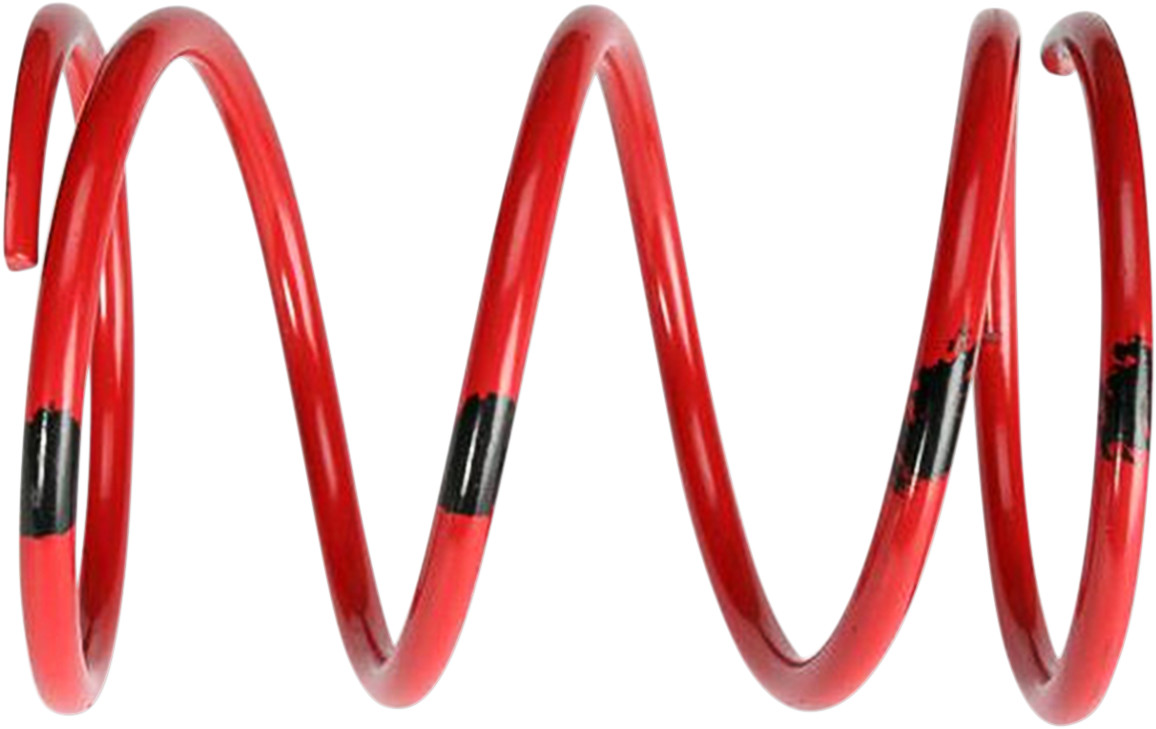 Secondary Spring
