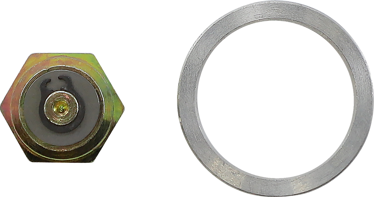 Shock Check Valve