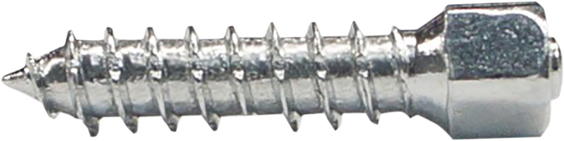 WOODY'S Twist Tire Screws