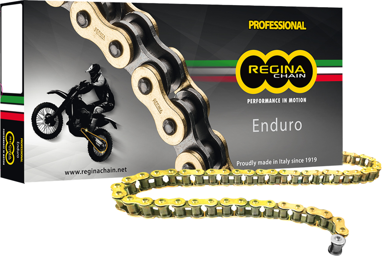 Regina 428 ZSE - Drive Chain - 120 Links