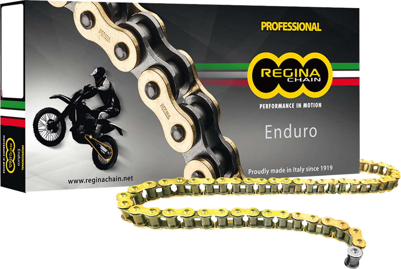 Regina 428 ZSE - Drive Chain - 120 Links