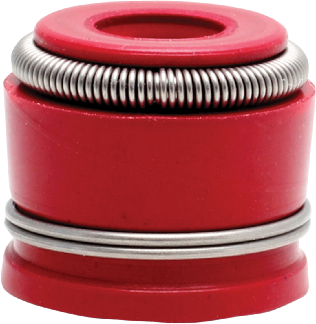 Valve Seals