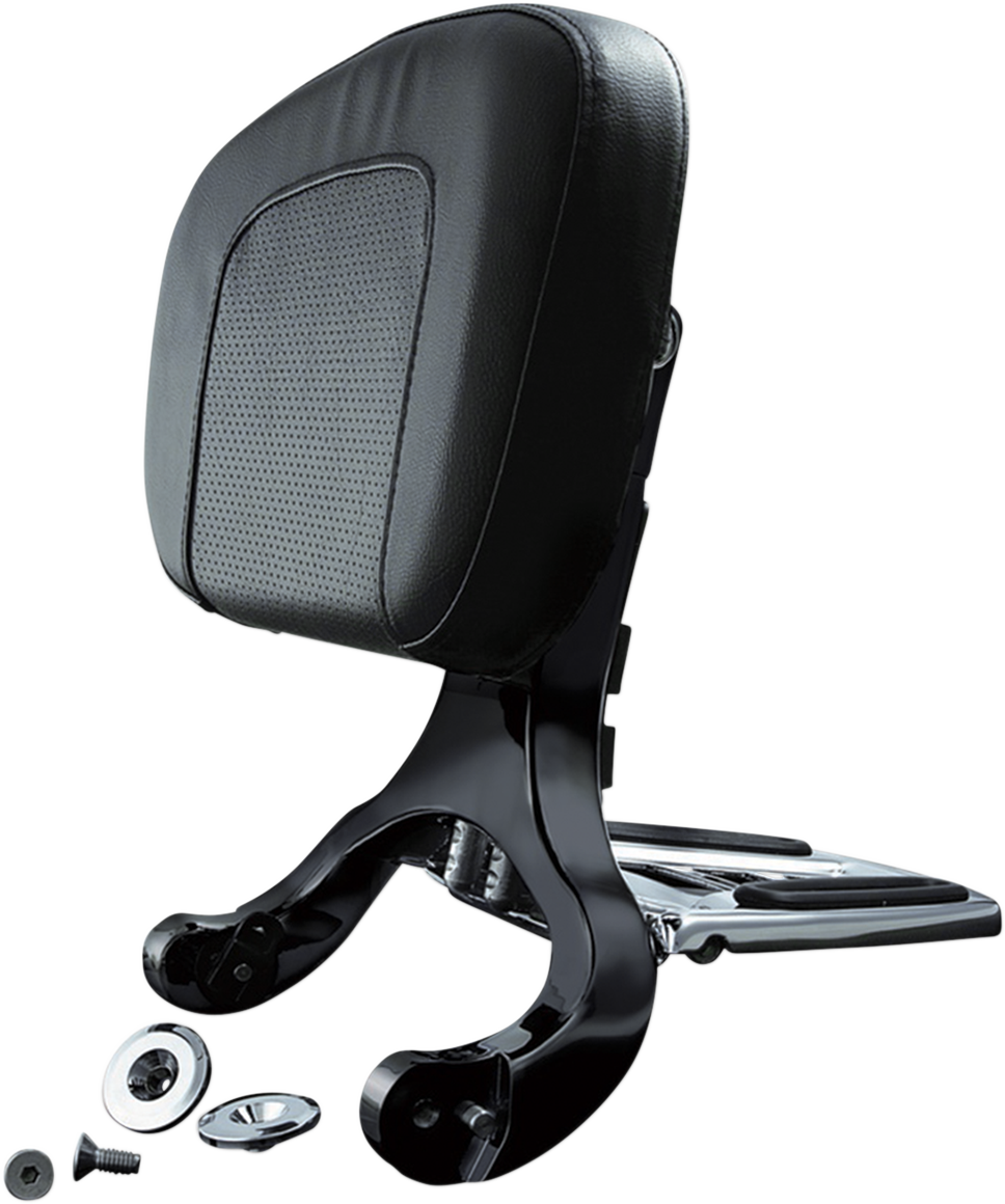 Multi-Purpose Driver and Passenger Backrest
