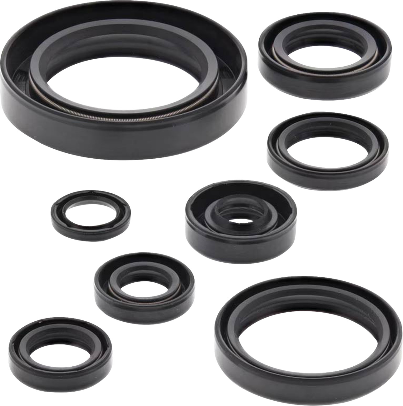 VERTEX Oil Seal Kit