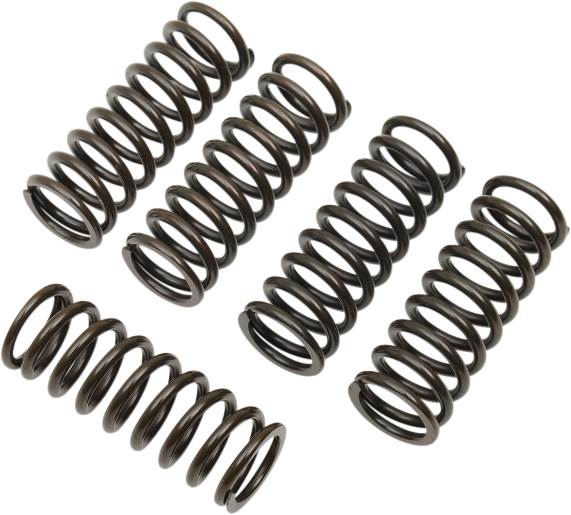 BARNETT Clutch Spring Kit