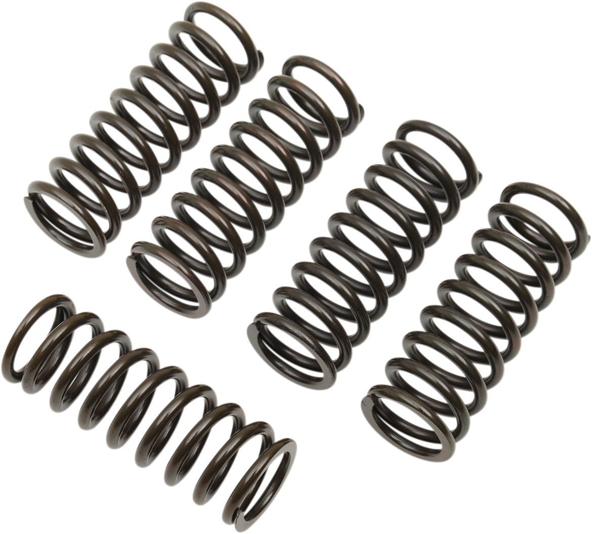 BARNETT Clutch Spring Kit