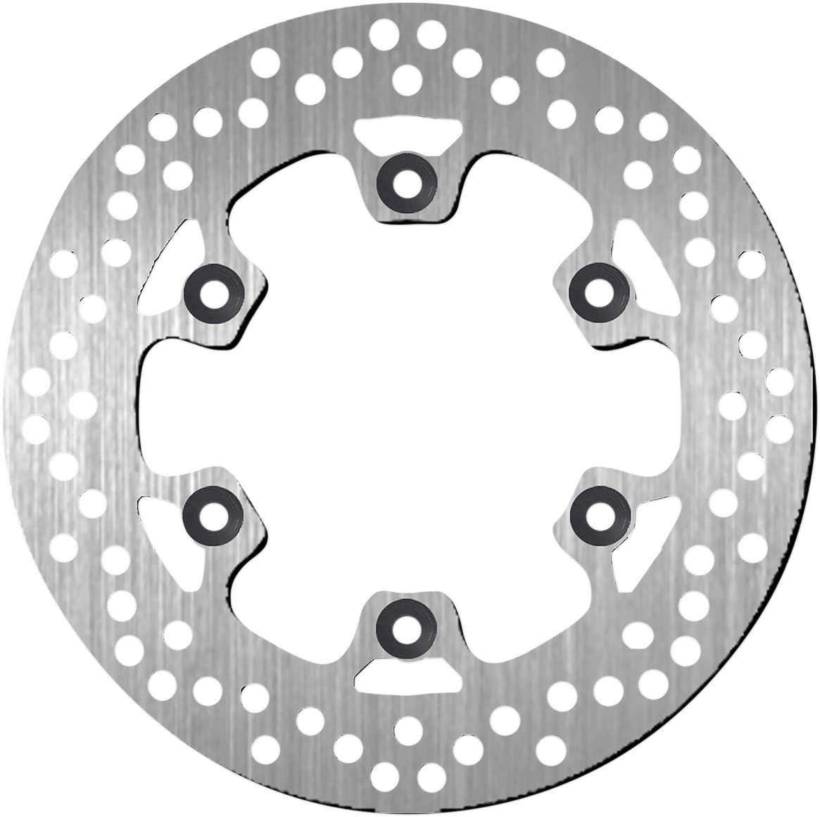 SBS Brake Rotor