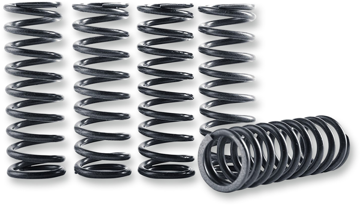 Hinson Hi Temp Clutch Spring Kit