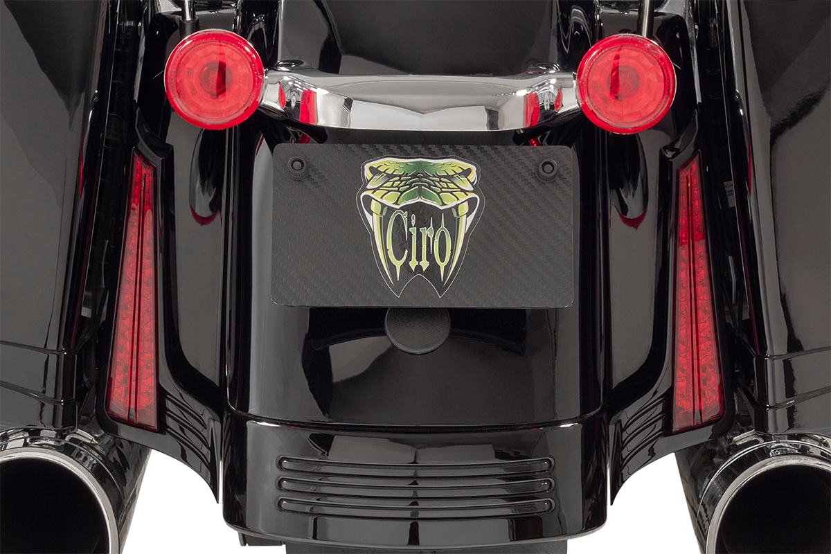 Ciro LED Filler Panel Accent Lights For Harley Touring 2014-2025