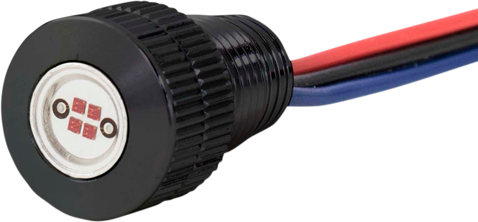 Paul Yaffe Lightning Boltz