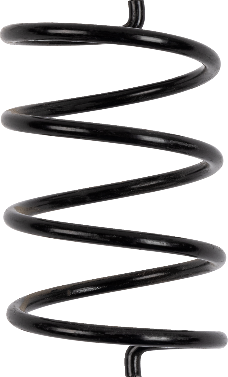 Secondary Clutch Spring