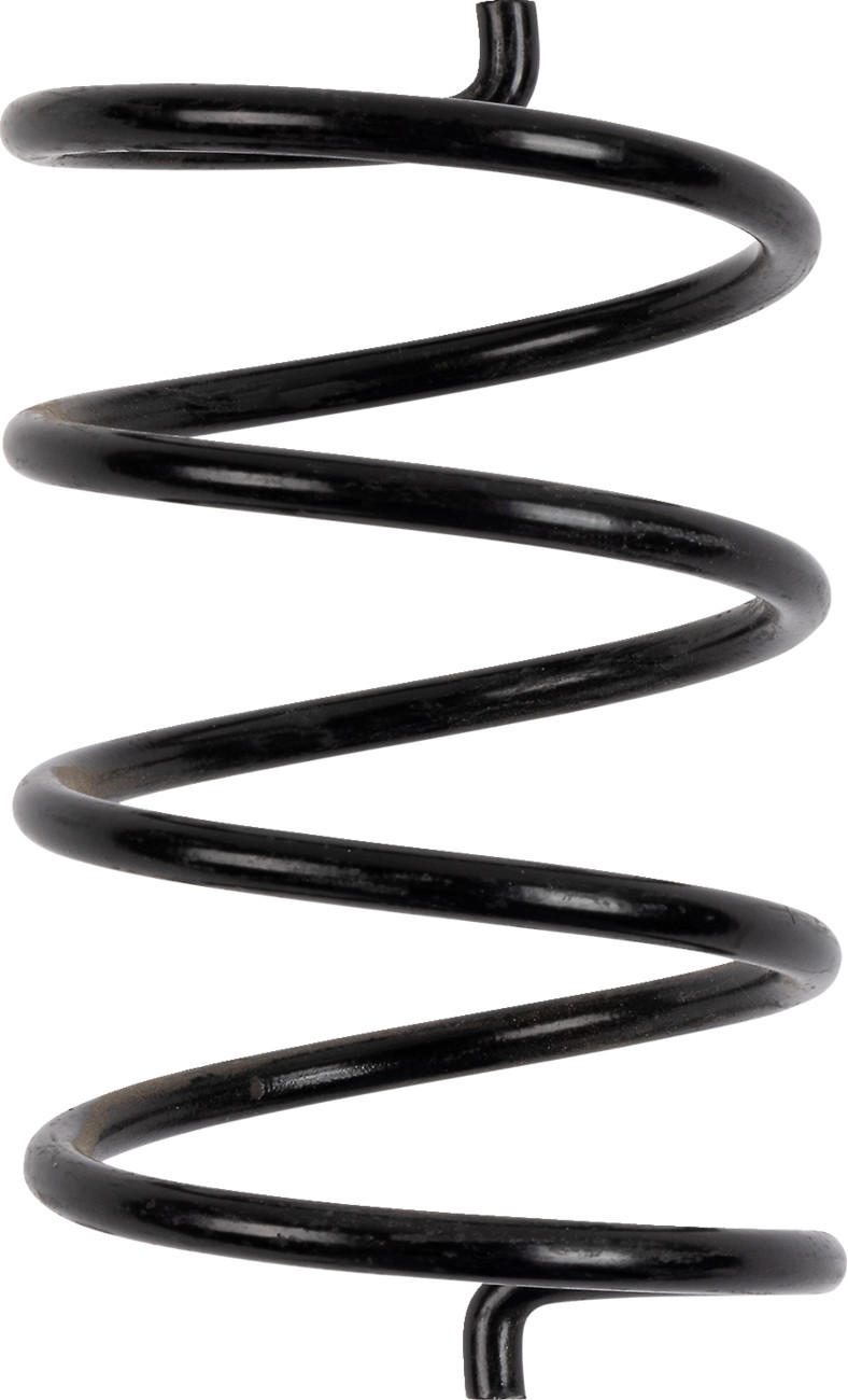 Secondary Clutch Spring