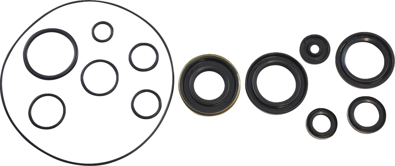 VINTCO Oil Seal Kit