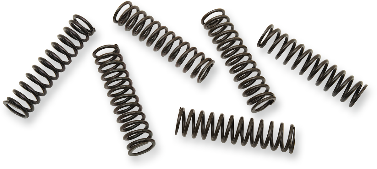 Clutch Spring Kit