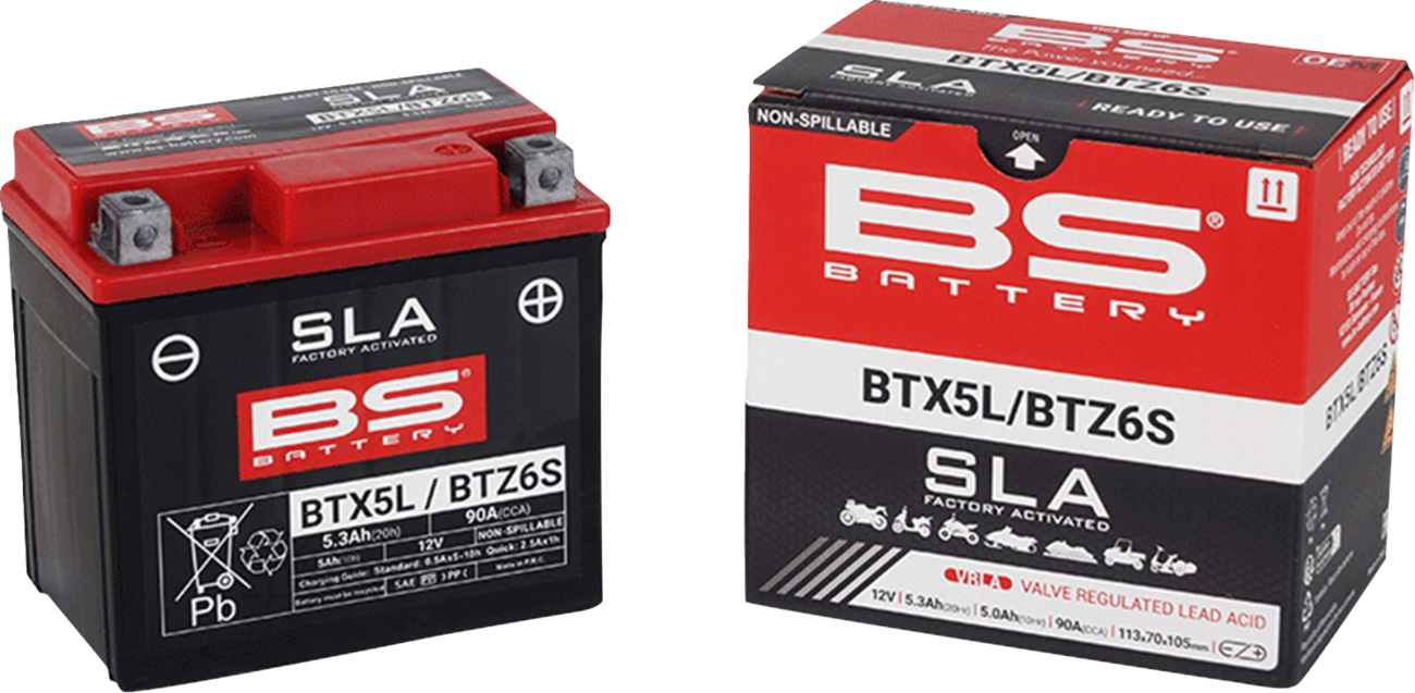 BS BATTERY SLA Factory- Activated AGM Maintenance-Free Battery