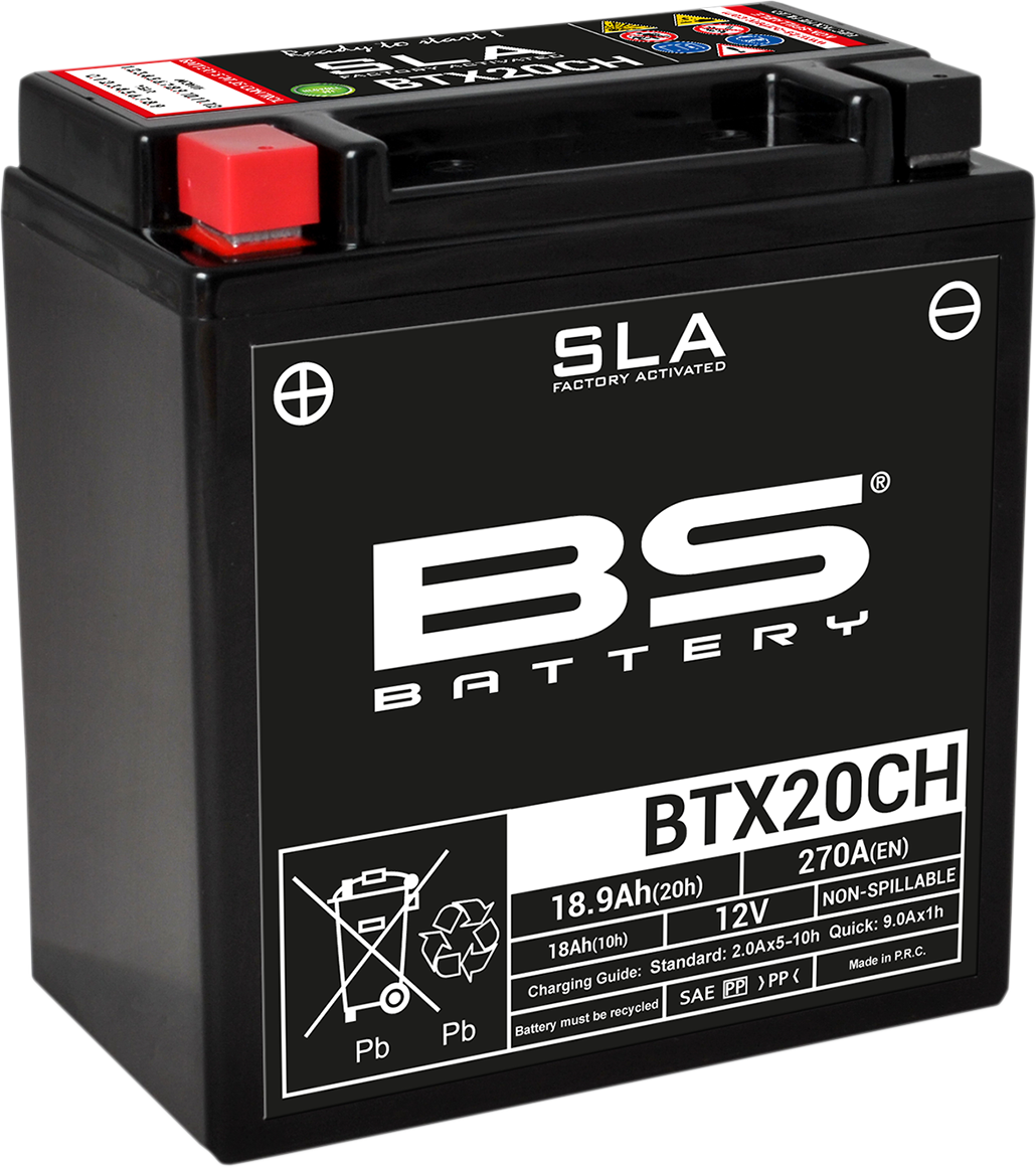 BS BATTERY SLA Factory- Activated AGM Maintenance-Free Battery