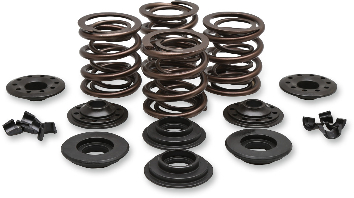 KIBBLEWHITE OEM Replacement Valve Spring Kit