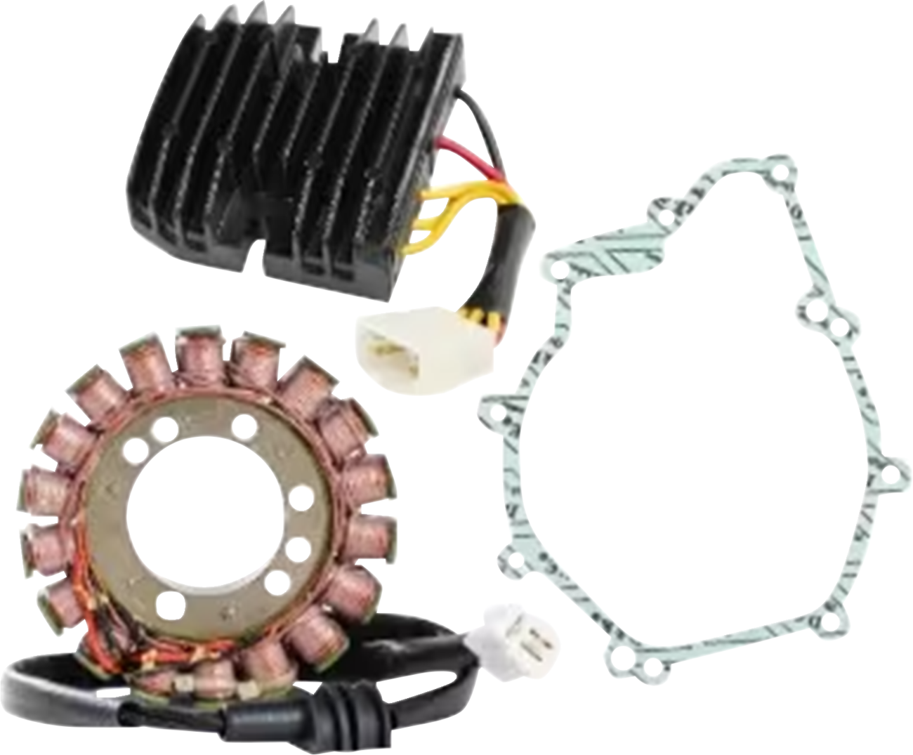 RICK'S MOTORSPORT ELECTRIC Charging Kit