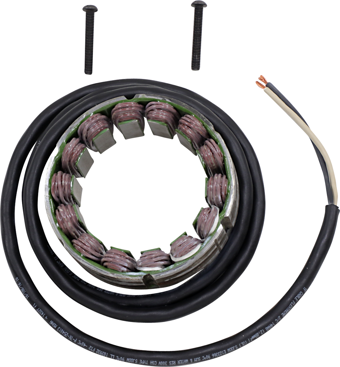 Rick's motorsport electric Stator - Ducati