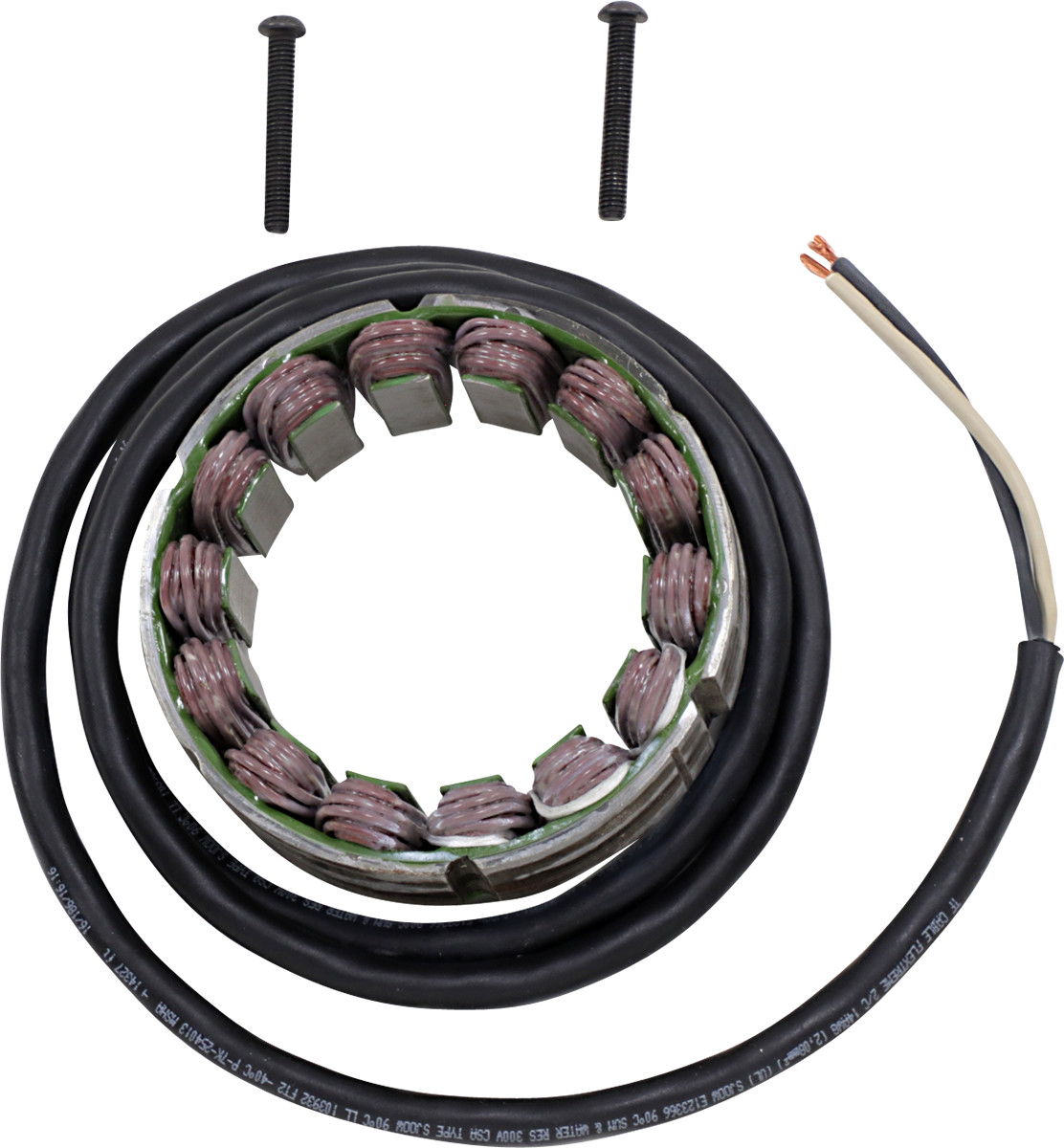 RICK'S MOTORSPORT ELECTRIC OEM Style Stator