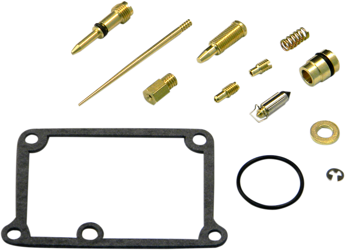Carburetor Repair Kit