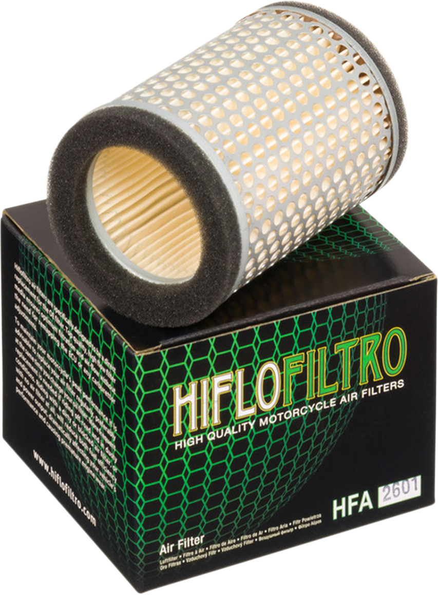 HIFLOFILTRO Air Filter