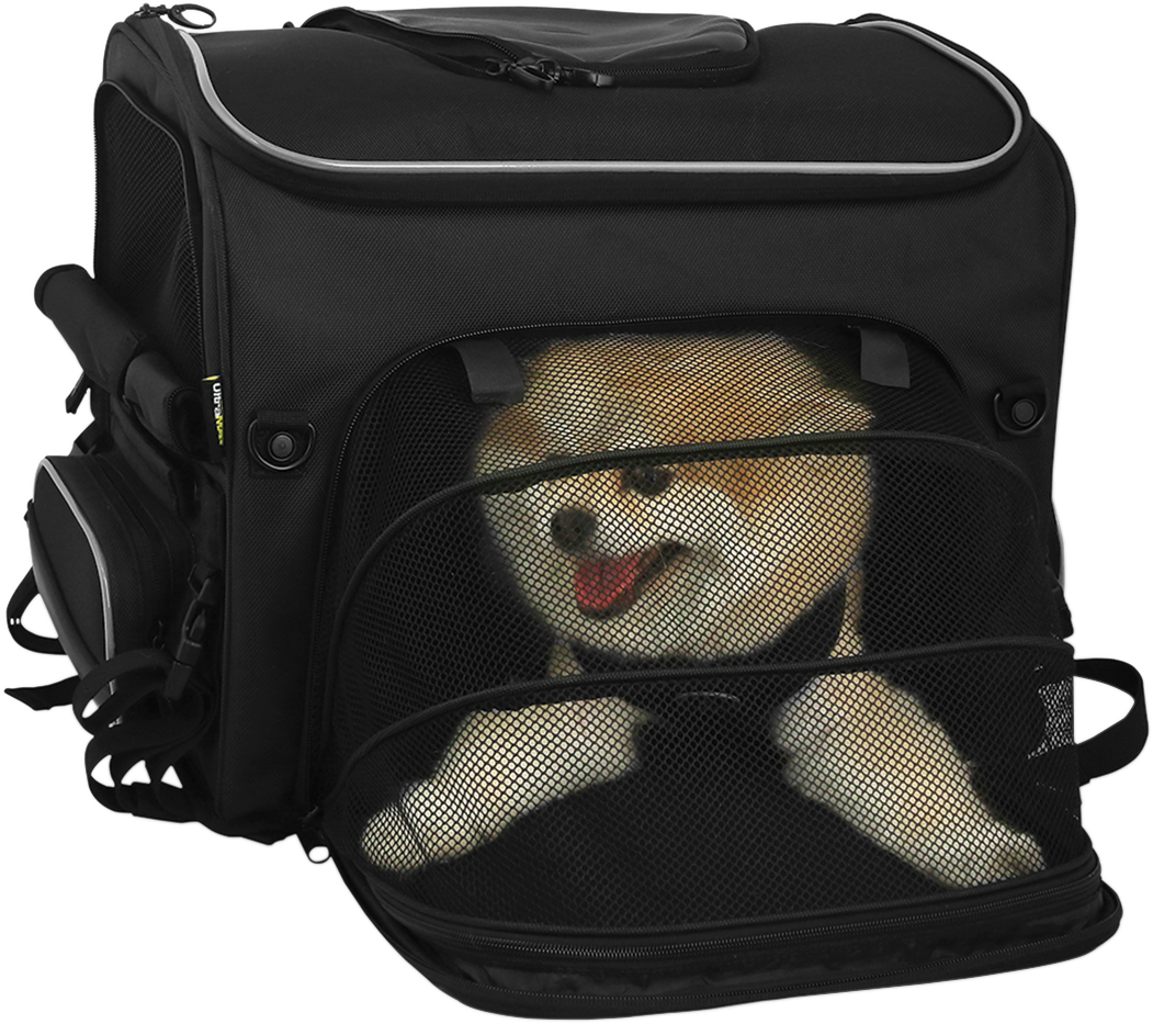 Nelson Rigg Route 1 Rover Pet Carrier