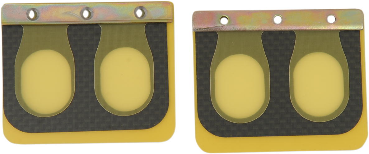 Replacement Pro Series Reed Set for RAD Valve