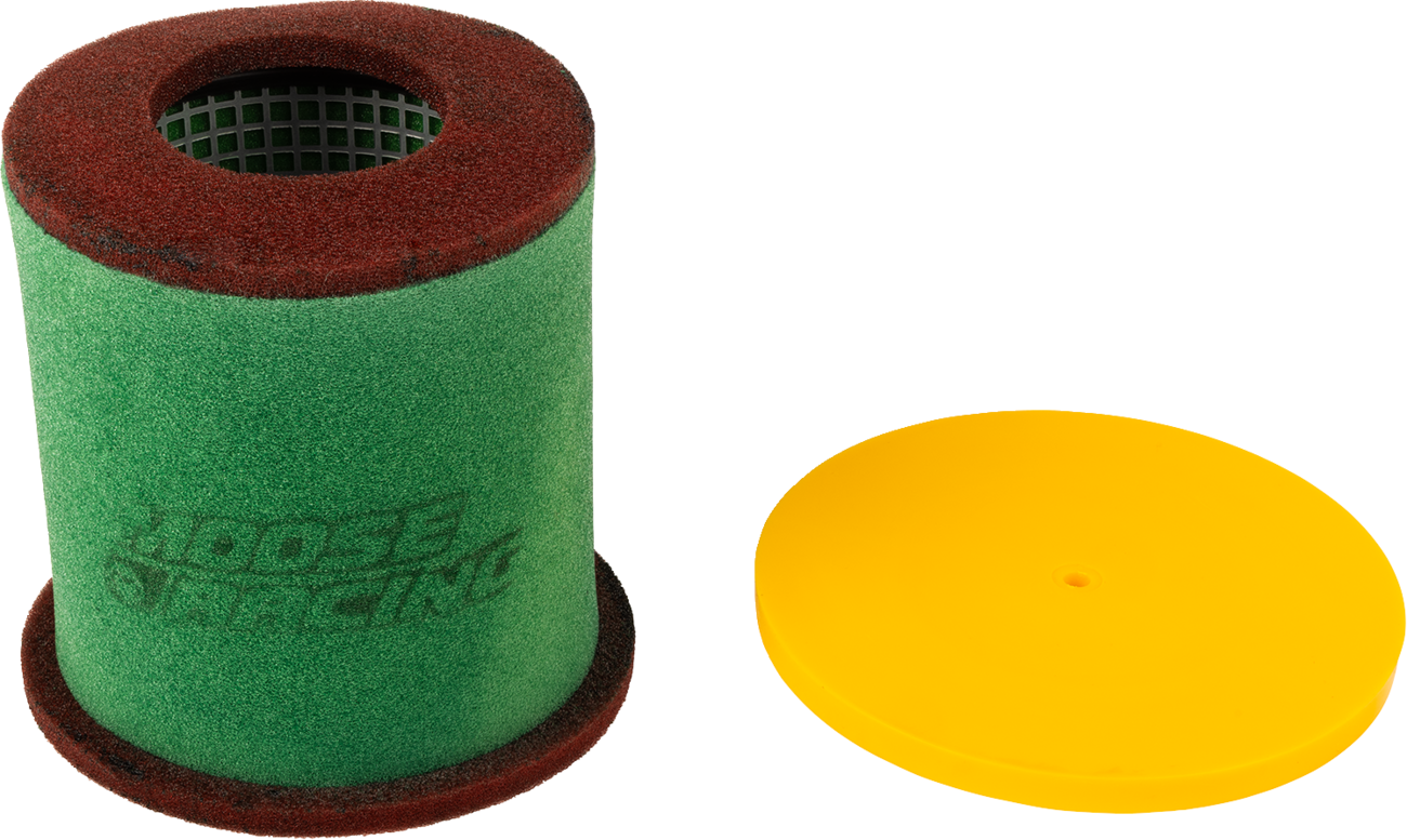 Pro Air Filter with Cage