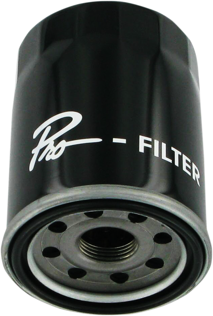 Parts unlimited Oil Filter Victory/Polaris