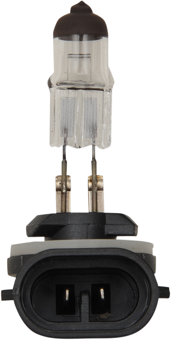 Halogen Bulb