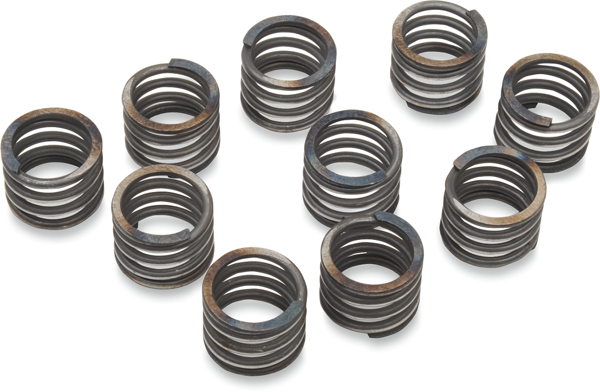 EASTERN MOTORCYCLE PARTS 41 mm Damper Springs