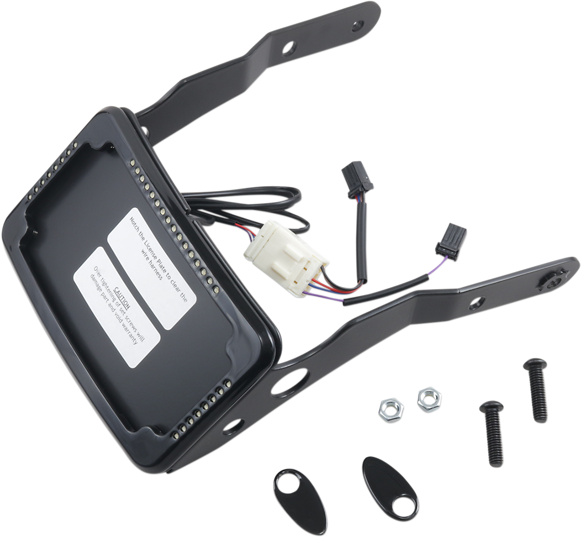 CYCLE VISIONS Curved License Mount with Frame
