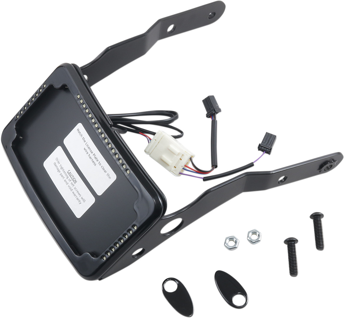 CYCLE VISIONS Curved License Mount with Frame