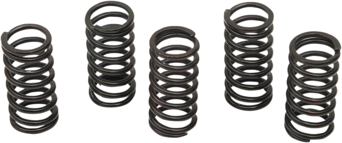 Clutch Spring Kit