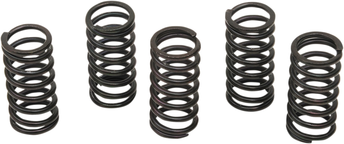 Clutch Spring Kit