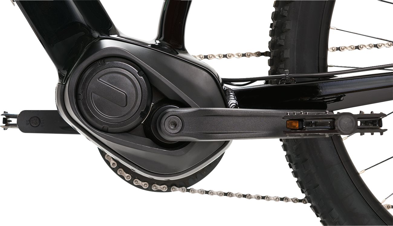 IGO ELECTRIC BIKES Outland Sawback RS E-Bike