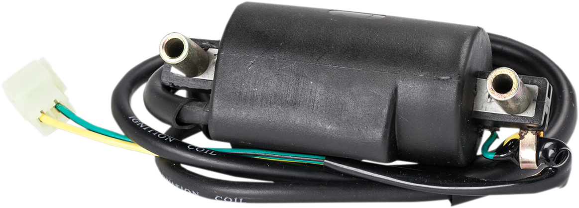 RICK'S MOTORSPORT ELECTRIC Ignition Coil