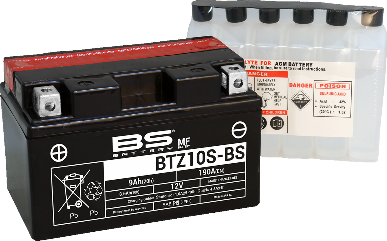 BS BATTERY Maintenance-Free Battery
