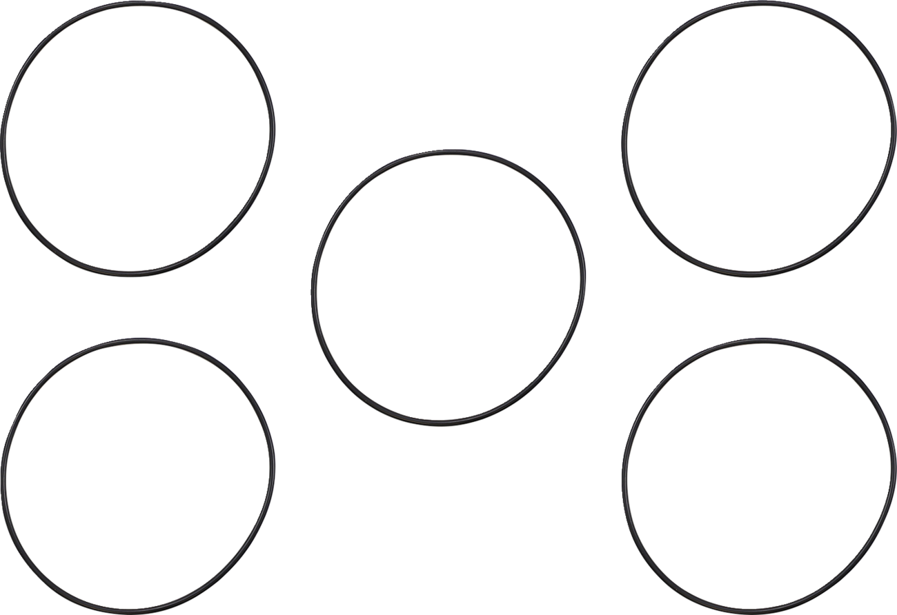 JAMES GASKET Derby/Inspection Cover Seal Kit