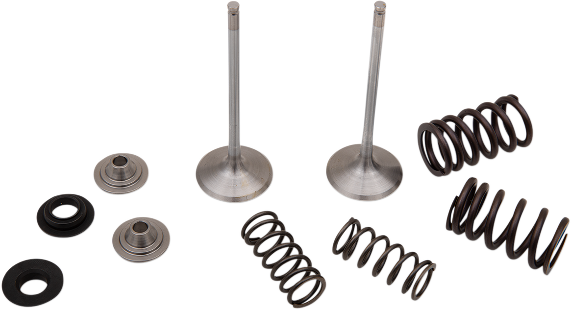 Stainless Intake Valve and Spring Kit