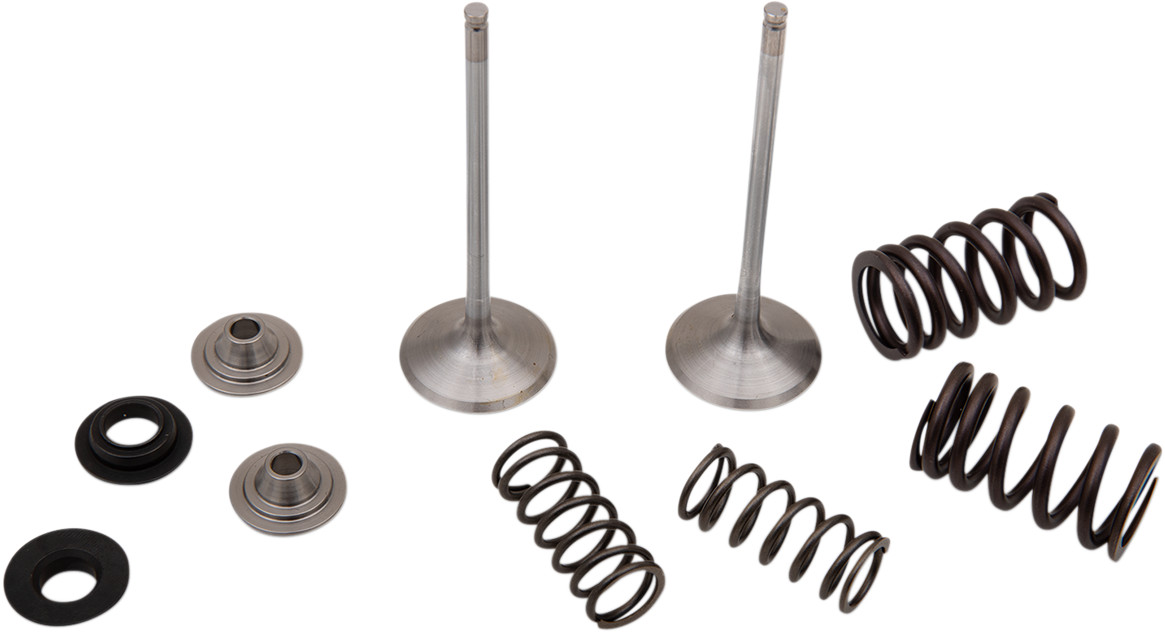 Moose Racing Intake Valve and Spring Kit
