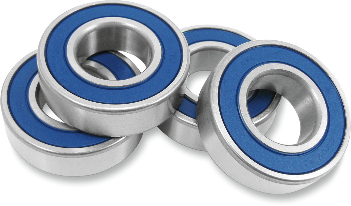 Drag Specialties Wheel Bearing Kit