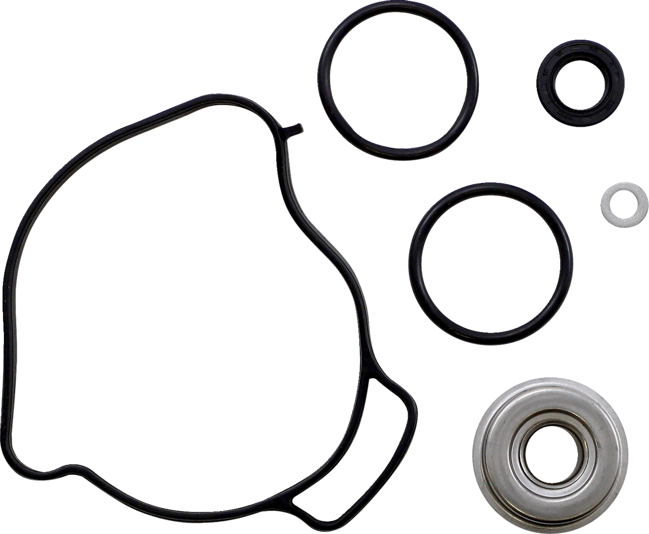 Water Pump Rebuild Kit