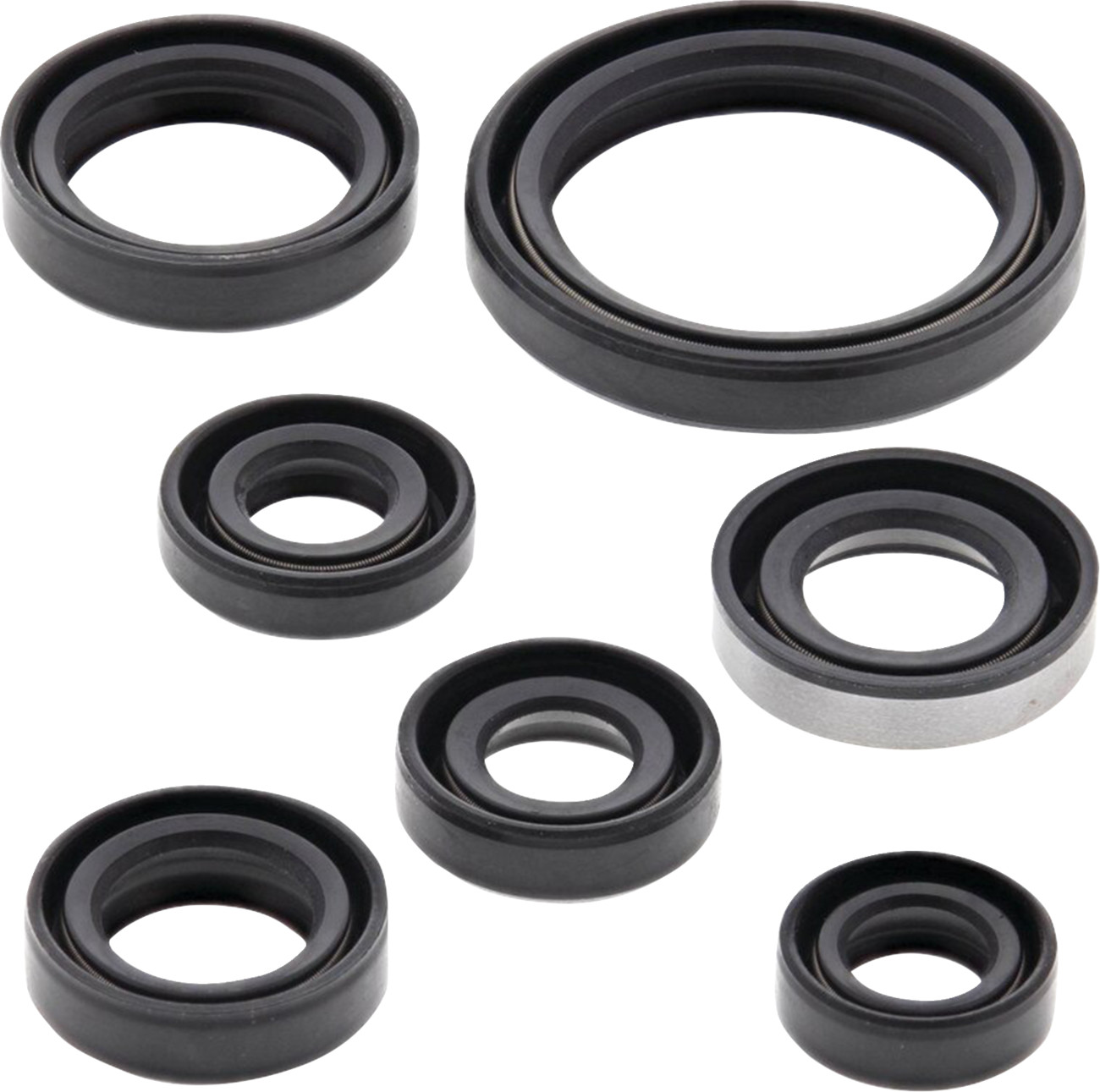 VERTEX Oil Seal Kit